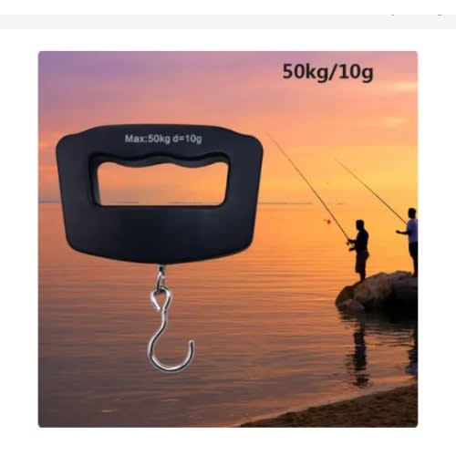 Portable Fishing Hook Scale Parcel Luggage Weigh - 50kg
