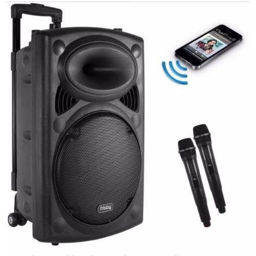 Rechargeable Powered Speaker with 2 Microphones