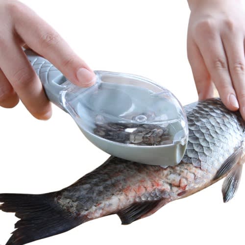 Practical Fish Scale Scraper With Cover