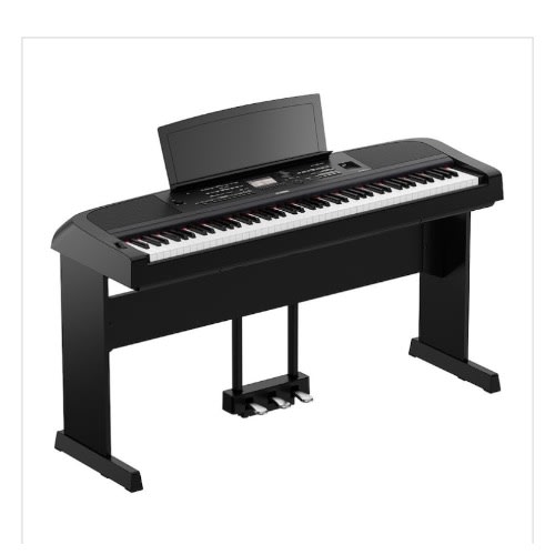 Keyboard Dgx670 With Stand And Adapter - Black