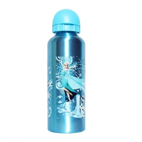 Frozen Metal Water Bottle - Blue