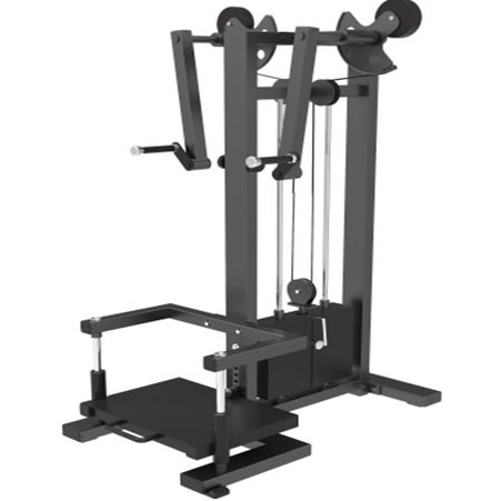 Commercial Lateral Raise  - Dft1325