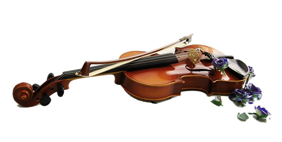 4/4 Laminated Violin For Beginners And Professional