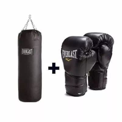 American Fitness Everlast Punching Bag + Gloves