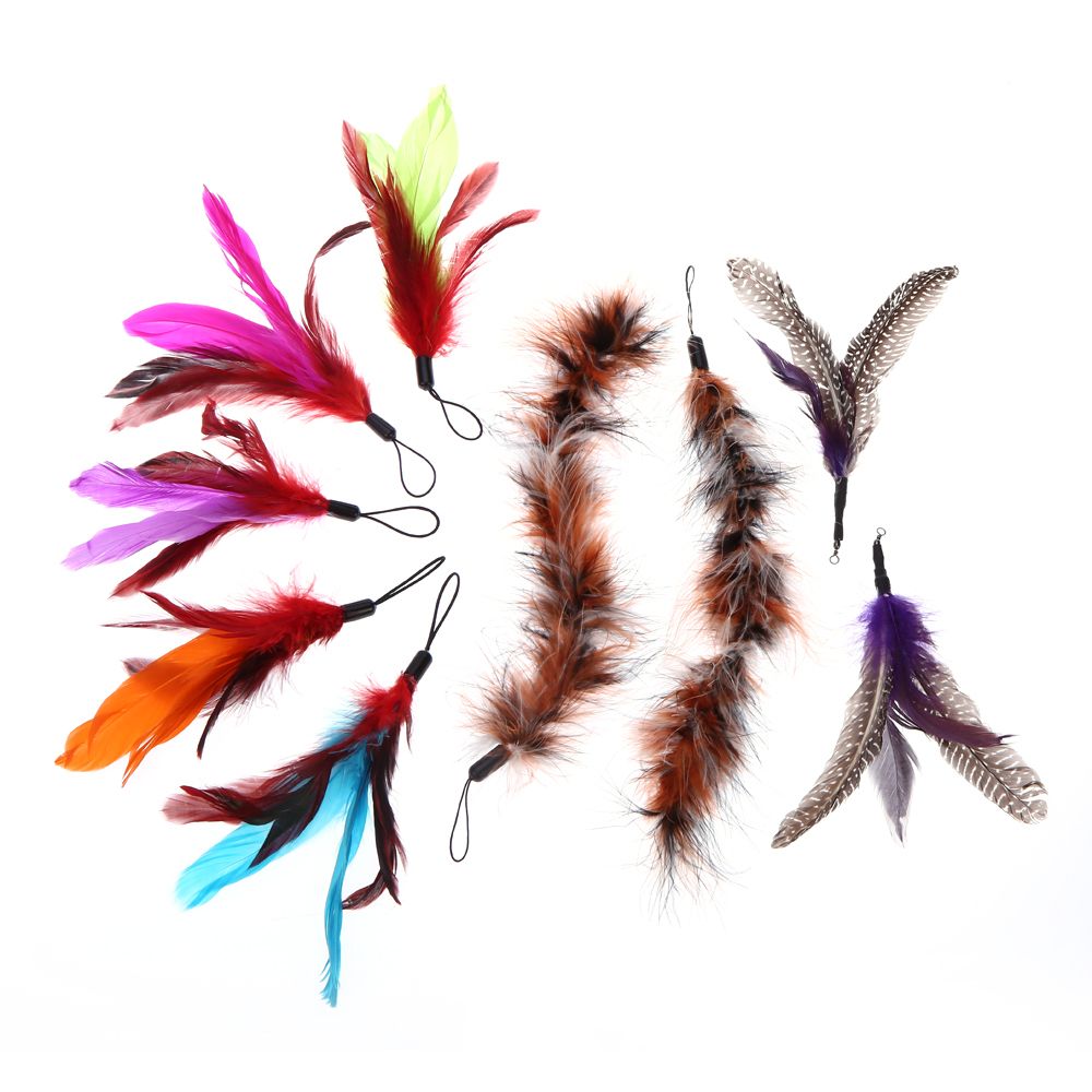 9PCS Luxury Colorful Natural Long Feather Pet Kitten Cat