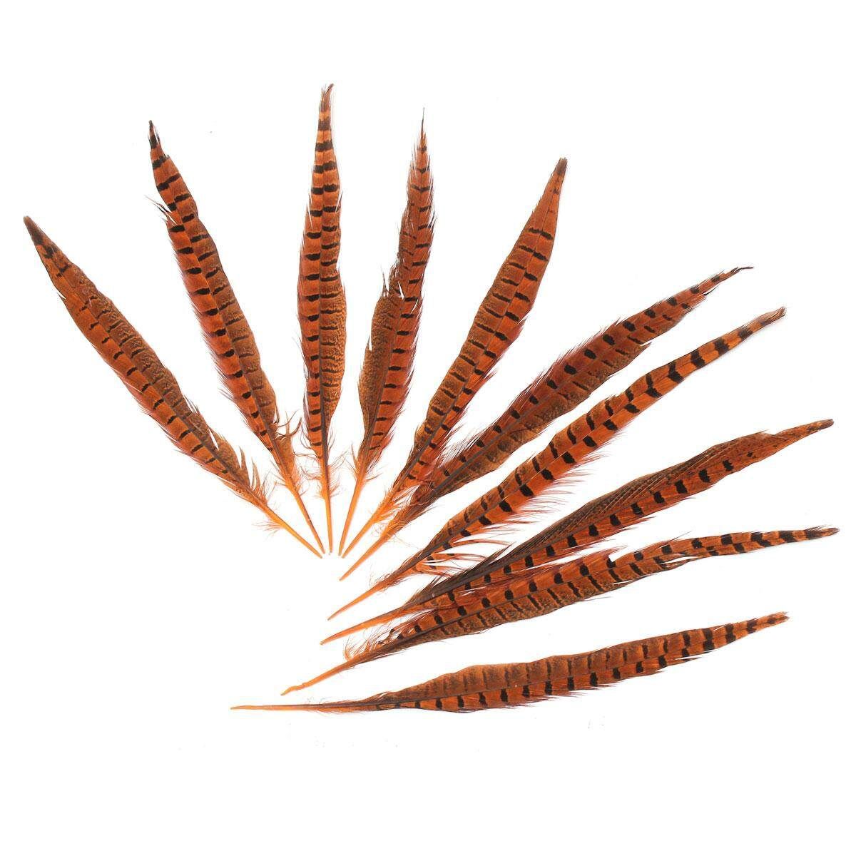 10Pcs Beautiful Pheasant Tail Feathers 12-14 Inch Long Costume Millinery Multicolor Orange