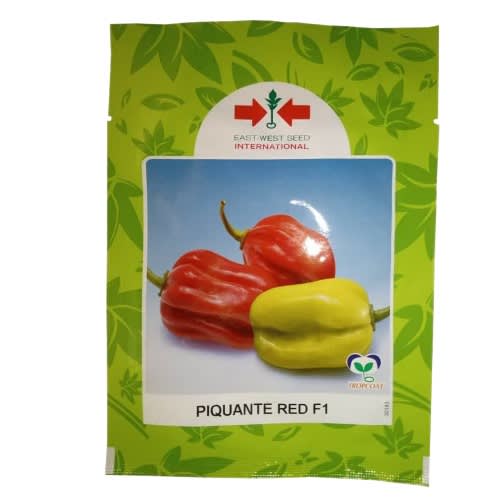 Hybrid Habanero Hot Pepper Seeds  - piquante Red F1 - 500 Seeds