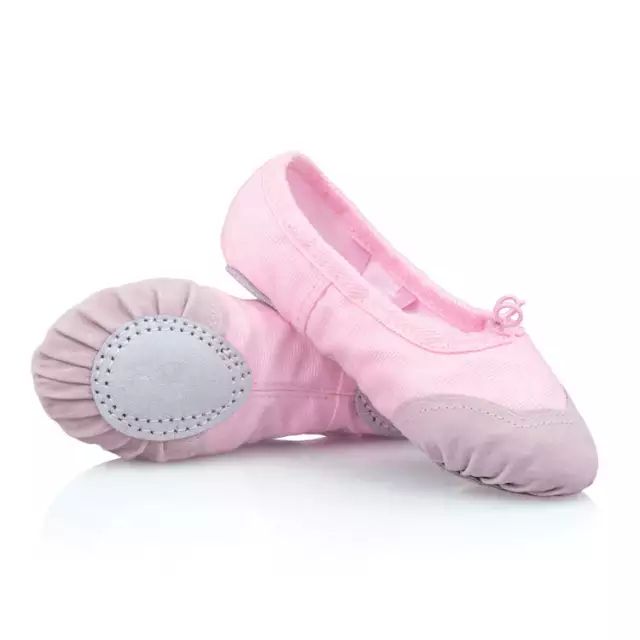 Balllet Shoe - Pink Colour