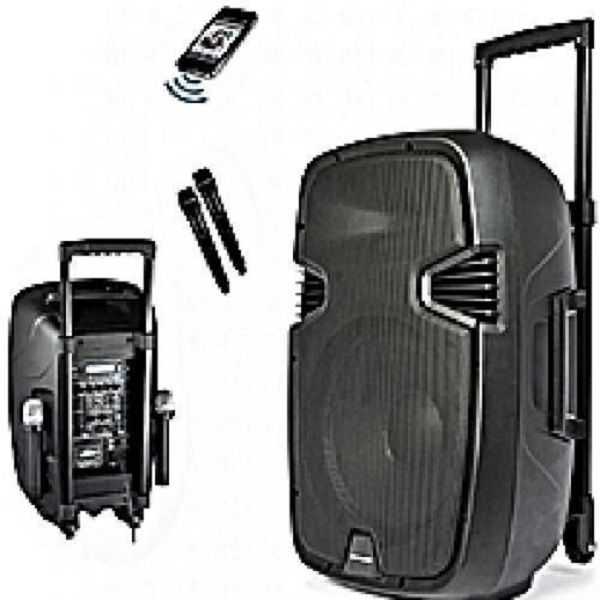 8'' Bluetooth Rechargeable Public Address System (2 Mic)