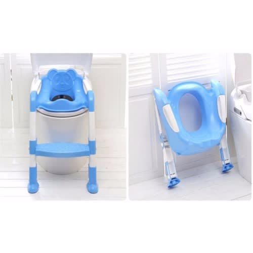 Potty Seat With Ladder Cover