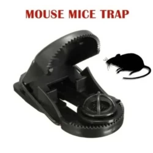 Re-usable Rat-trap-tuff Cat