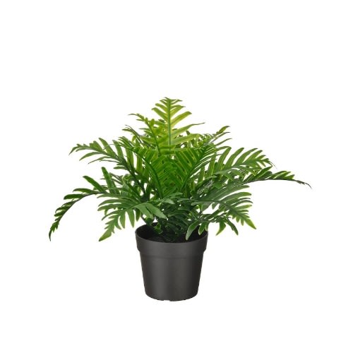 Fejka Artificial Potted Plant - Whitley Giant 9cm