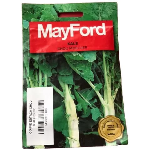 Kale Seed  - chou Moellier -10g