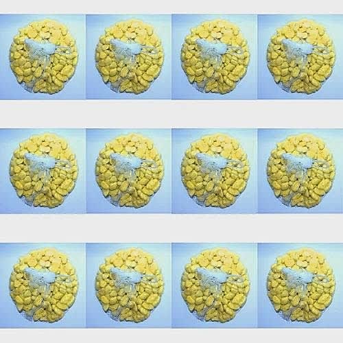 Multipurpose Colored Stones - 500g Per Pack X 12 - Yellow
