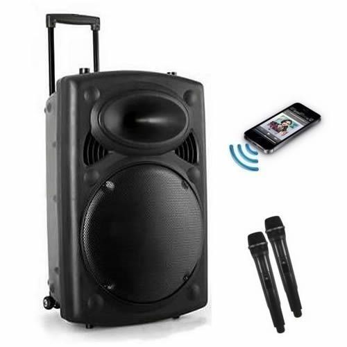 12'' Portable Rechargeable Public Address Speakers With USB, SD, FM Radio, Bluetooth,Two Wireless Microphone.