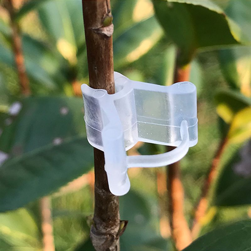 50pcs/Pack Plastic Mini Grafting Clips Plants Support Seeding Grafting Clip Tool For Home- Show