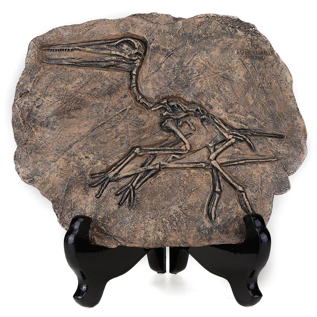 Retro Small Rare Carnivorous Dinosaur Cretaceous Sinosauropteryx Model Bone With Bracket