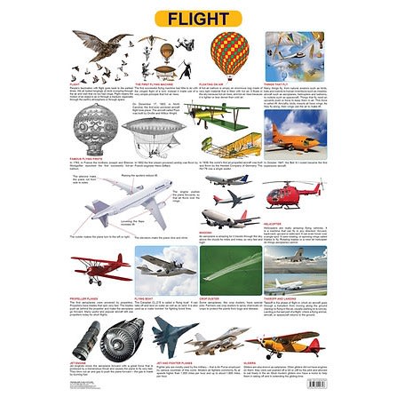 Flight Educational Laminated Wall Chart
