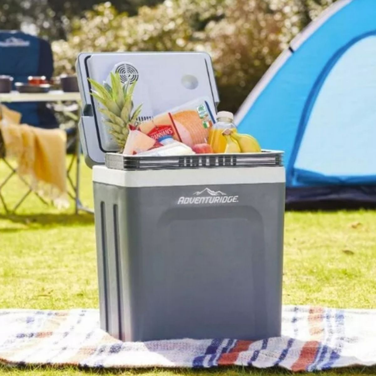 Electric Camping Cool Box 30L, Warm And Cool Functions