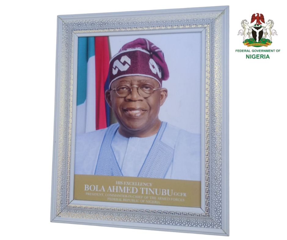 Mr. President Bola Ahmed Tinubu GCFR: Official Portrait