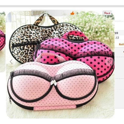 Creative Bra Underwear Travel Portable Organizer