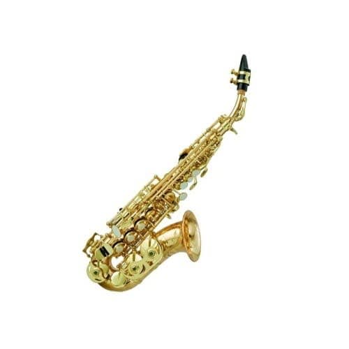 Curved Soprano Saxophone