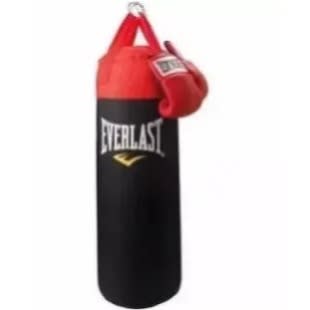 Everlast Punching Bag + Gloves