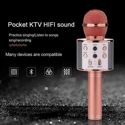 Professional Bluetooth Wireless Handheld Microphone Speaker