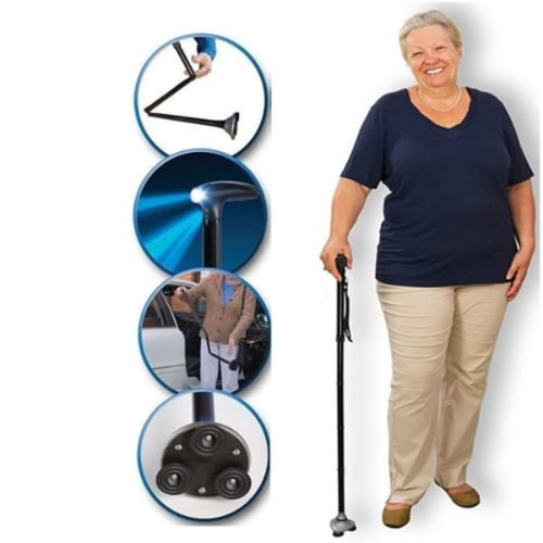 Trusty Walking Stick