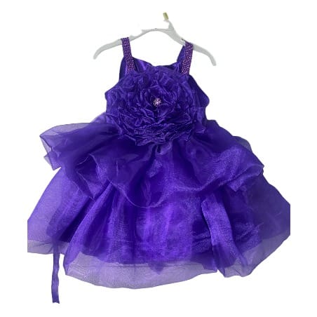 Baby Girl Princess Organza Dress - Purple