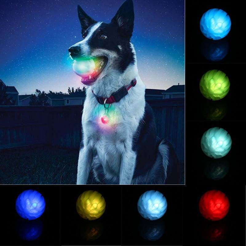 LED Night Light Dog Puppy Pet Ball Play Toy Collar Training Fun
