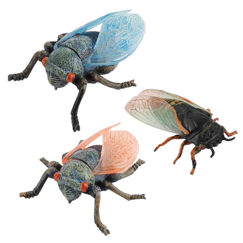 3pcs Lifelike  Model Cicada Toys Figures