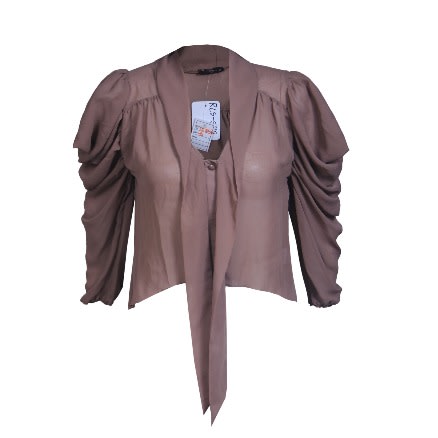 Trendy Brown Ladies Blouse