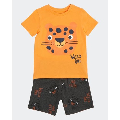 Baby Boy Tee & Shorts Set
