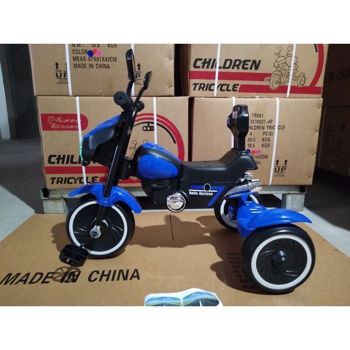 Evergreen Modern Kids Tricycle