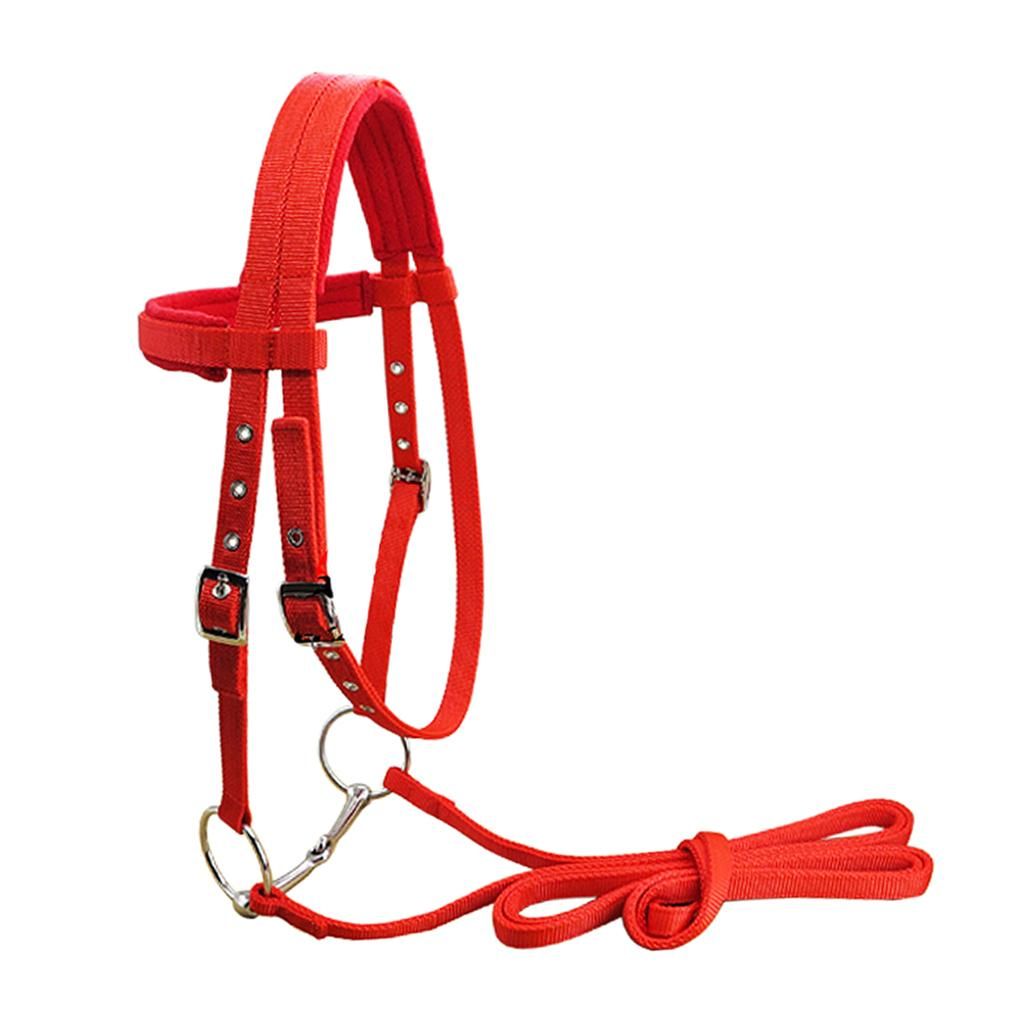 Soft Nylon Horse Bridle Harness Headstall Removable