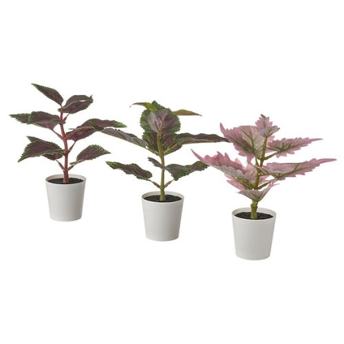 Fejka Artificial Potted Plant - Pot 6cm- Set Of 3