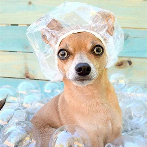 100 Pcs Of Disposable Shower Caps- Unisex & General Use