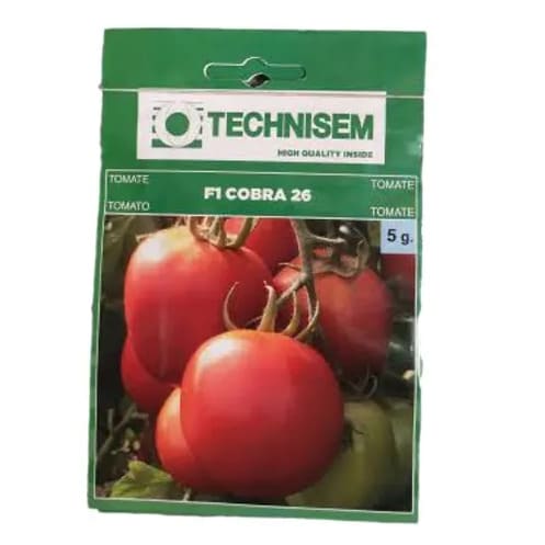 Technisem Hybrid Tomato Seeds - Cobra 26 F1 - 5g