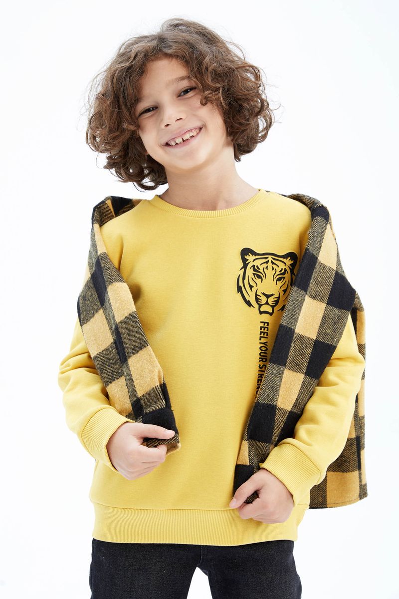 Boy - Crew Neck Long Sleeve Regular Fit Knitted Sweat Shirt-Yellow