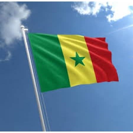 Senegal Flag
