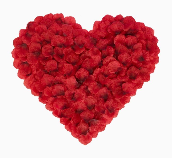 100Pcs Artificial Silk Red Rose Petals