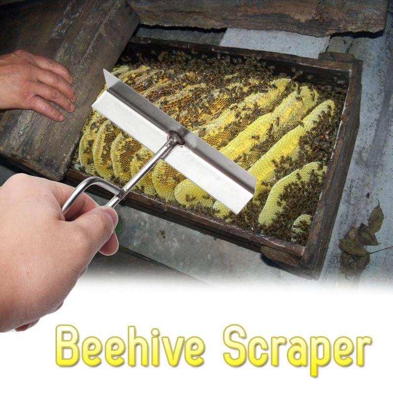 Stainless Steel Extractor Uncapping Tool Bee Hive Honey Scraper Silver