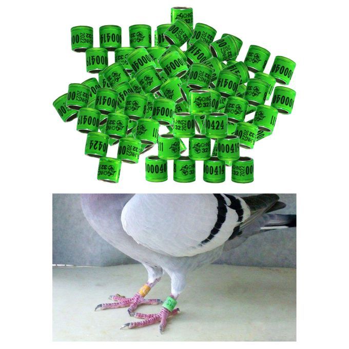 100Pcs 2022 Aluminium Bird Racing Pigeon Foot Rings Bands Grass Green