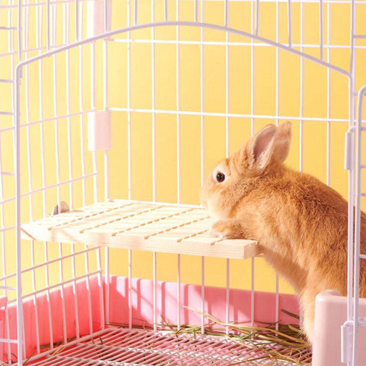 Rabbit Scratching Board Pad Claws Care Rabbit Toys