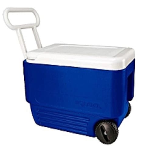 Cooler For Food And Drink Usa Quality Last Long