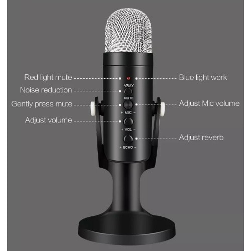 Professional Condenser Microphone