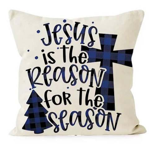 18 X 18 Inch Jesus Is The Reason Throw Pillow