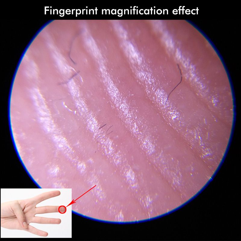 100X/80X/40X Portable Microscope Loupe Reading Magnifier Lens Magnifying Glasses Tool With LED Illuminant 100 Times