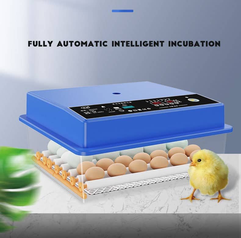 64 Chicken Eggs Automatic Incubator